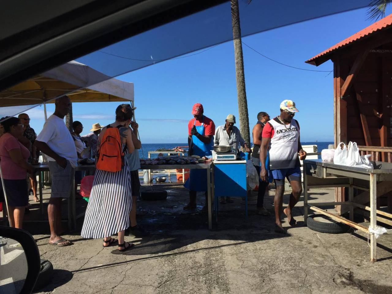 T2 Tropical En Bord De Piscine A 100M De La Mer Apartment Le Carbet Luaran gambar
