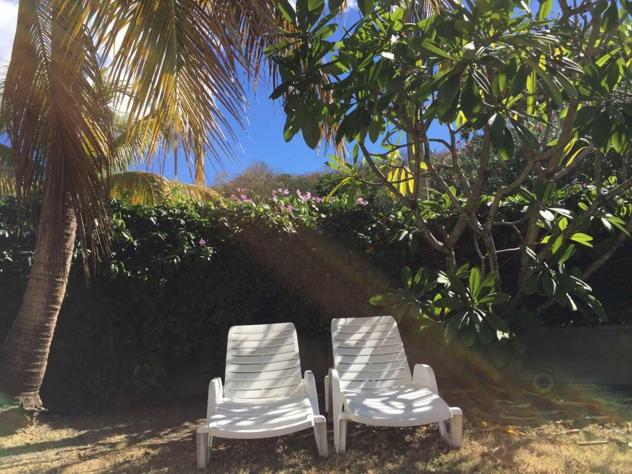 T2 Tropical En Bord De Piscine A 100M De La Mer Apartment Le Carbet Luaran gambar